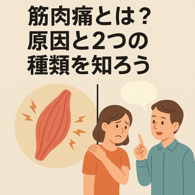 筋肉痛とは？原因と2つの種類を知ろう  運動による筋肉の微細な損傷  「即発性筋肉痛」と「遅発性筋肉痛」の違い