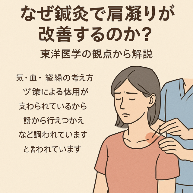 なぜ鍼灸で肩凝りが改善するのか？東洋医学の観点から解説 　└ 気・血・経絡の考え方、ツボ刺激による作用など科学的裏付けも補足