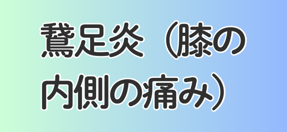 鵞足炎（膝の内側の痛み）