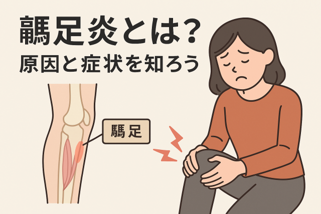 鵞足炎とは？原因と症状を知ろう 　└ 鵞足とは何か、痛みが出る理由、代表的な症状の紹介