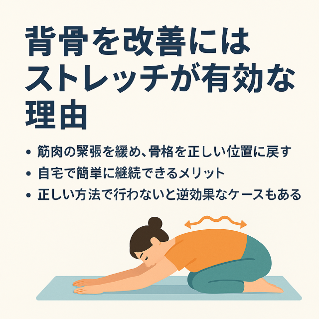  背骨を治すにはストレッチが有効な理由 筋肉の緊張を緩め、骨格を正しい位置に戻す  自宅で簡単に継続できるメリット  正しい方法で行わないと逆効果なケースもある