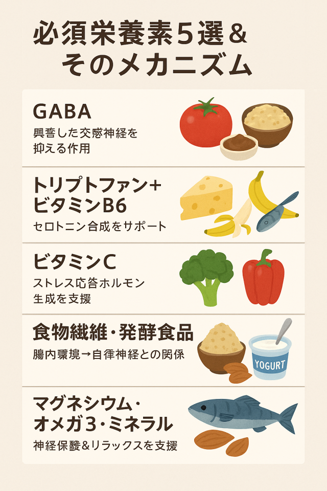 ② 必須栄養素5選&そのメカニズム GABA(トマト・発芽玄米・味噌)…興奮した交感神経を抑える作用 vitabrid.co.jp +8 itohkampo.co.jp +8 oitr.jp +8 トリプトファン+ビタミンB6(乳製品・バナナ・魚)…セロトニン合成サポート iwamotokimeido.com +11 itohkampo.co.jp +11 happiness-direct.com +11 ビタミンC(ブロッコリー・パプリカ)…ストレス応答ホルモン生成を支援 vitabrid.co.jp +2 itohkampo.co.jp +2 happiness-direct.com +2 食物繊維・発酵食品(玄米・納豆・ヨーグルト)…腸内環境—自律神経との関係 ktk.gr.jp +10 moriseikei.or.jp +10 iwamotokimeido.com +10 マグネシウム・オメガ3・ミネラル(ナッツ・青魚)…神経保護&リラックス支援