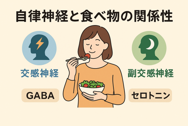 ① 自律神経と食べ物の関係性 「交感神経と副交感神経」の働きとバランスの重要性。 食事が神経伝達物質(GABA、セロトニン)生成にどう影響するか。 競合(例:itō漢方等)でも触れられるリラックス栄養との関連